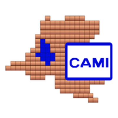 CAMI (Cadastre Minier)